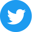 twitter icon